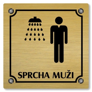 Sprcha muži, 100x100mm, zlatá, Kansas